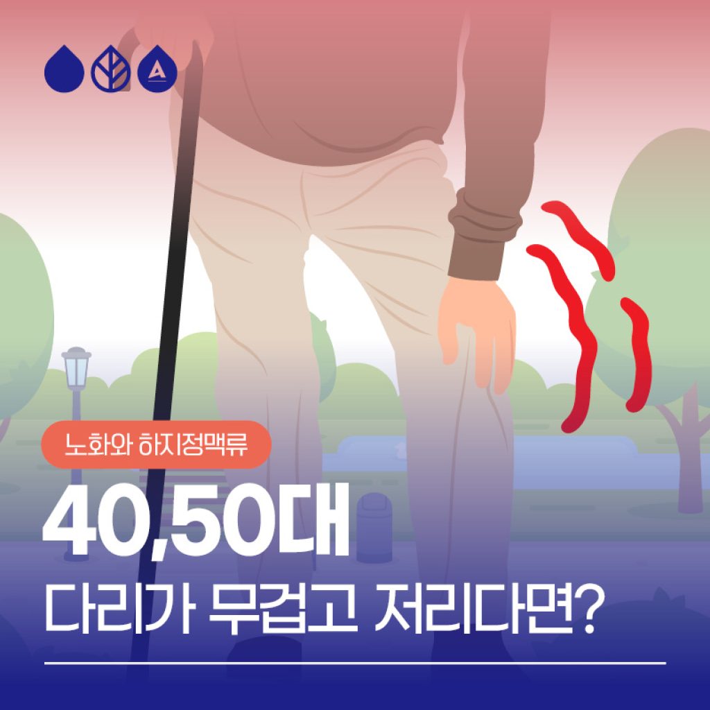 하지정맥류는 특히 노년층에서 많이 발생하기 때문입니다. 하지정맥류는 생명을 위협하는 급성, 악성 질환은 아니지만 방치할 경우 삶의 질을 크게 떨어뜨리고 노년기 건강을 해칠 수 있으므로 적극적인 예방과 진단, 적절한 치료가 중요합니다.