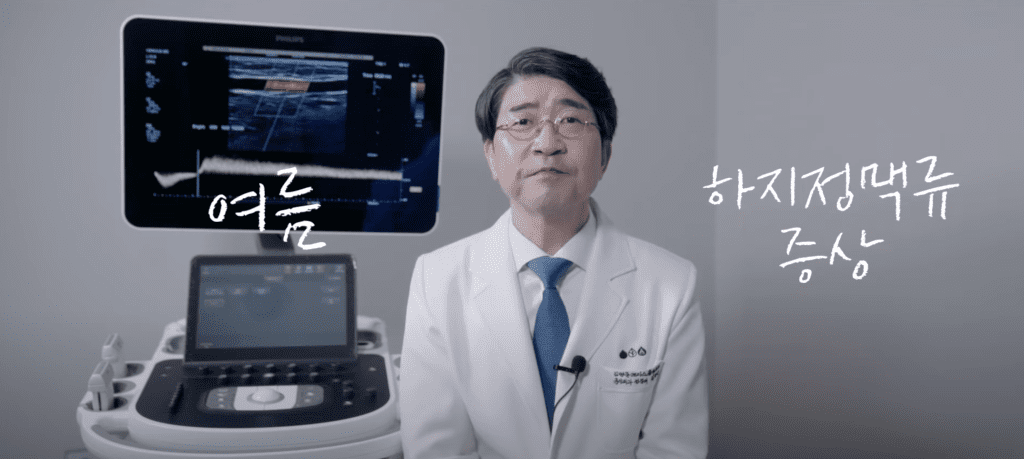 여름 하지정맥류 증상