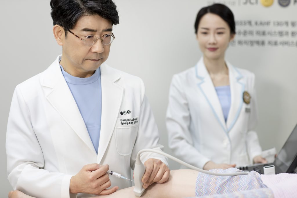 초음파 유도하 혈관경화요법