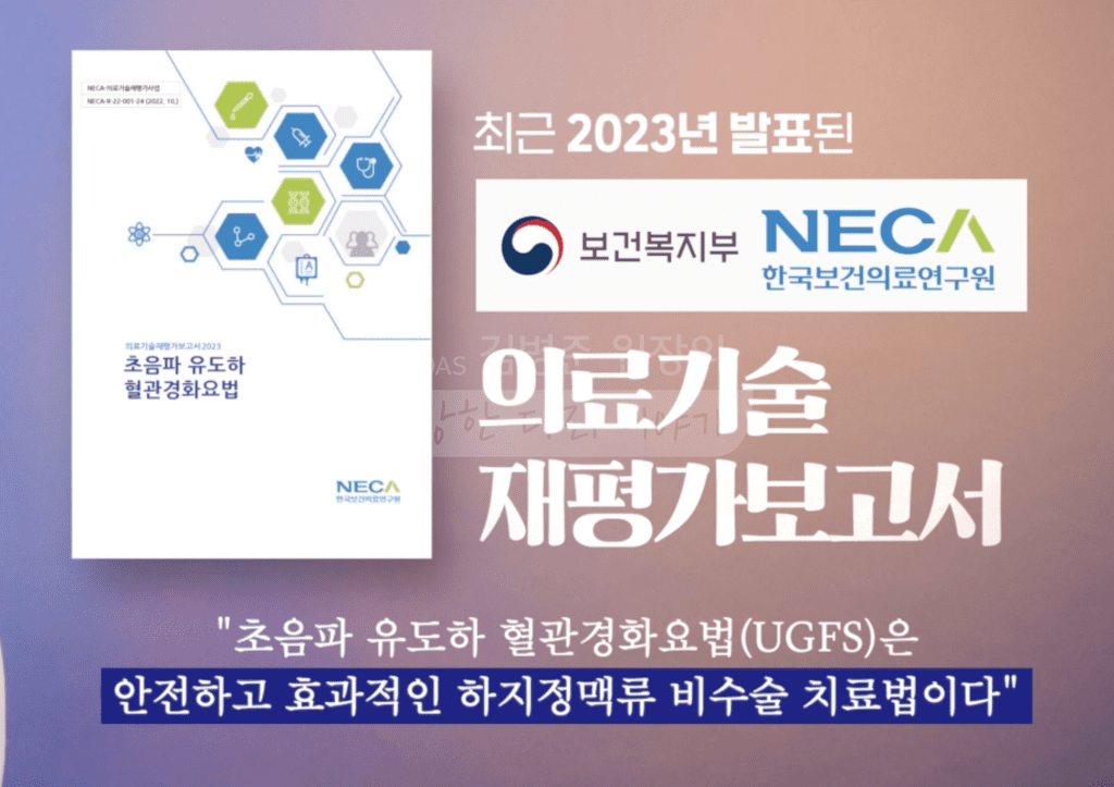 의료기술재평가보고서