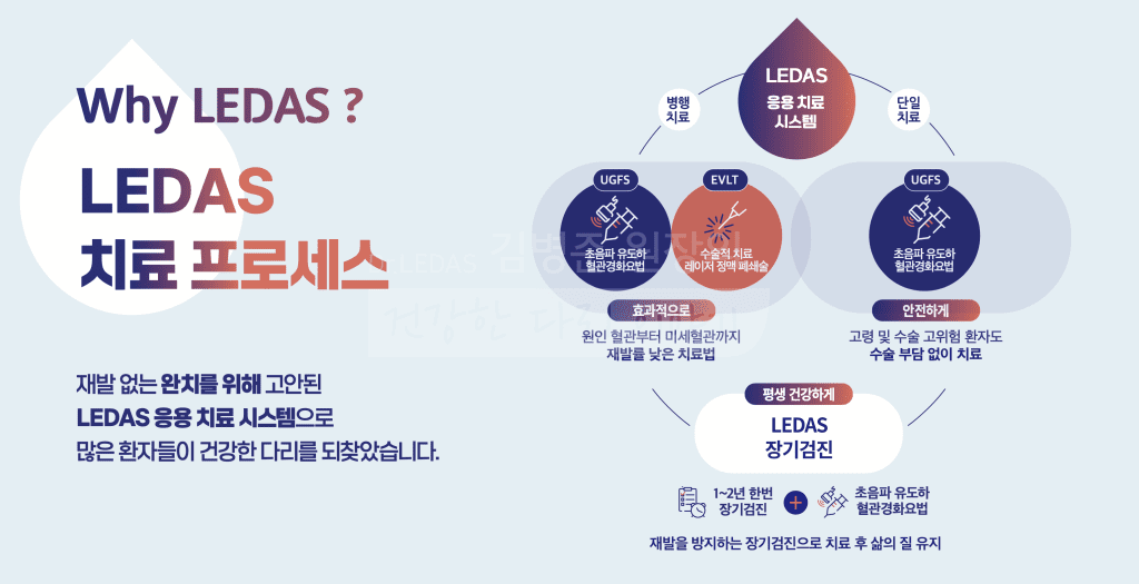 LEDAS 치료 프로세스