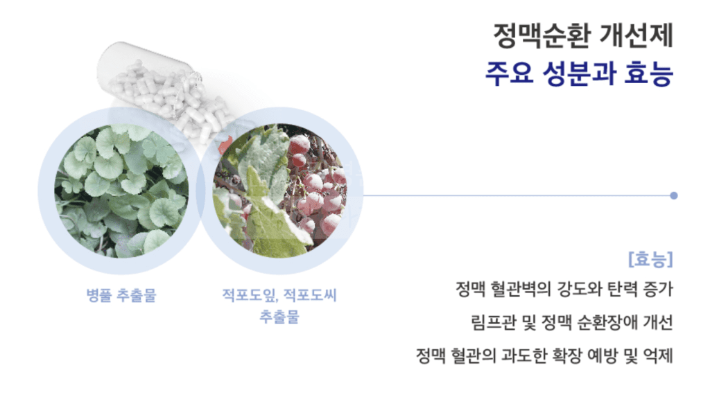 정맥순환개선제 성분