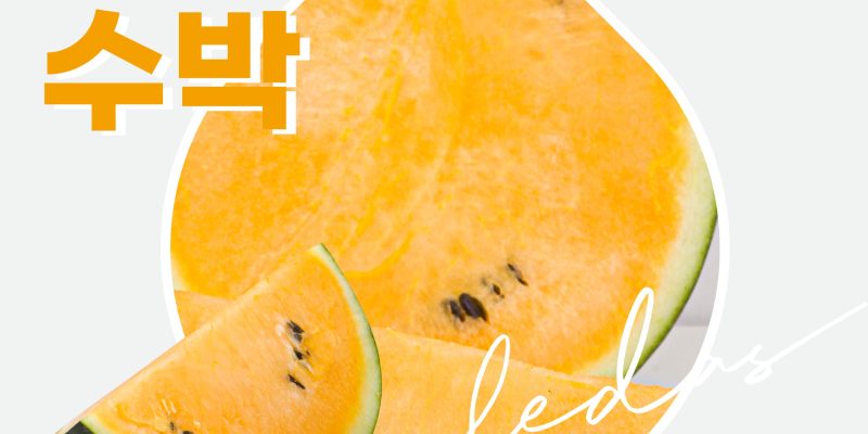 노란 수박 vs 빨간 수박, 맛과 효능 차이는? 실패 없이 고르는 법 총정리 | Watermelon Benefits