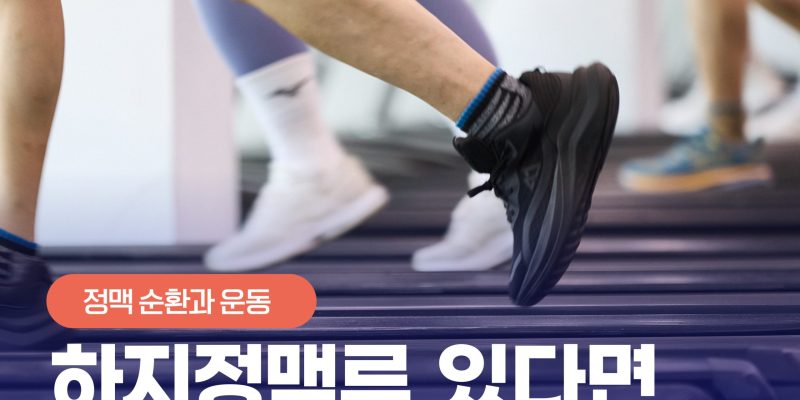 운동 열심히 하는데 왜 다리가 아플까? 하지정맥류에 좋은 운동 vs 나쁜 운동 총정리 Varicose Veins Exercises
