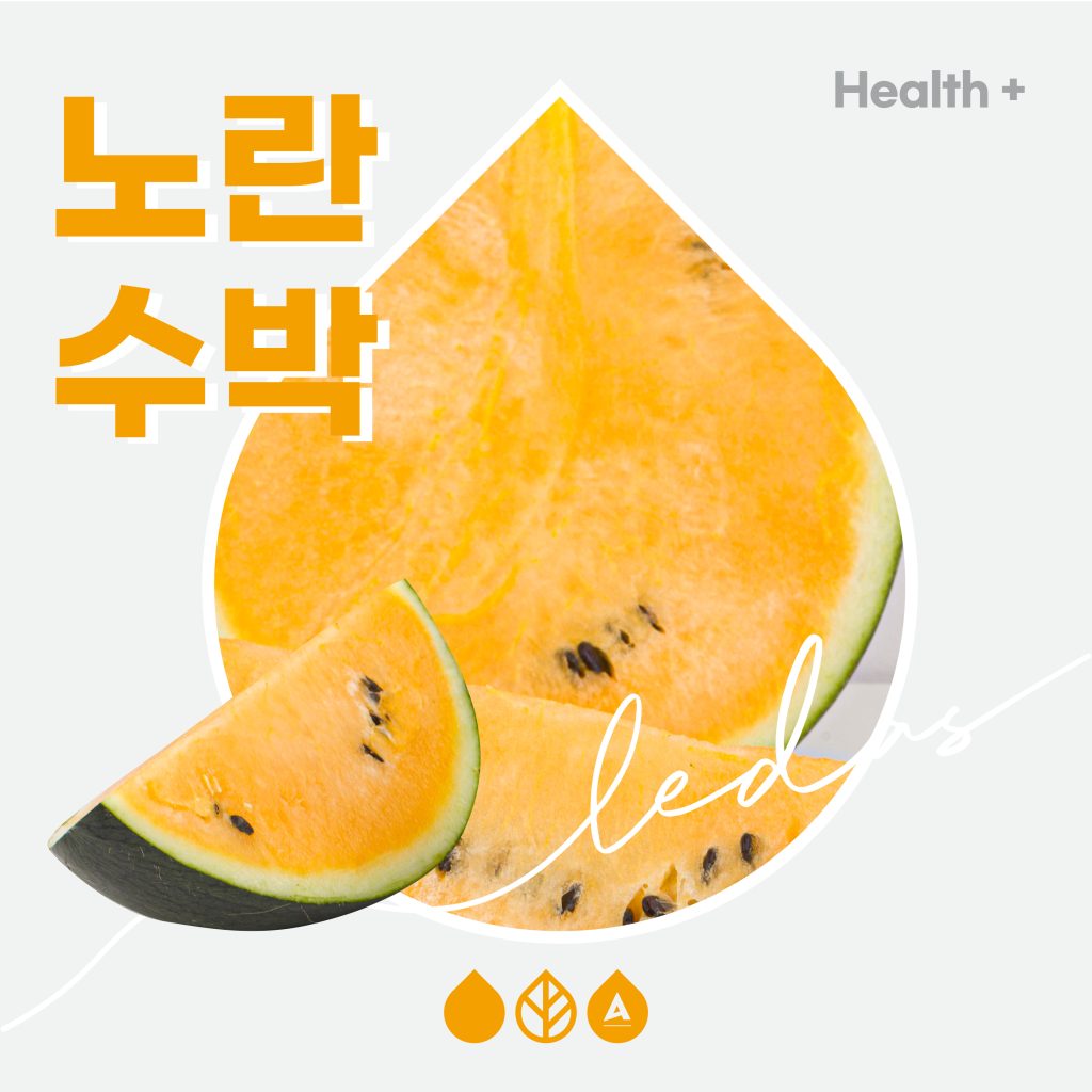수박 향은 상대적으로 적지만 은은하고 부드러운 단맛의 노란 수박