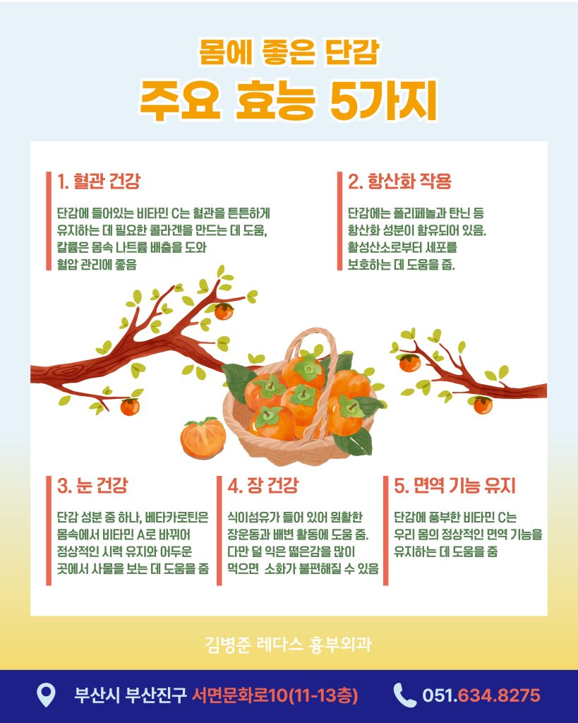 단감 주요 효능 5가지