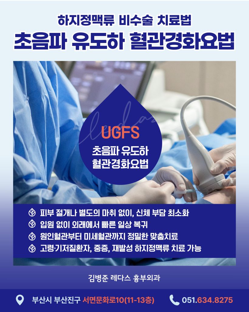 초음파유도하 혈관경화요법